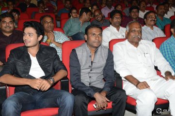 Vinavayya Ramayya Movie Audio Launch